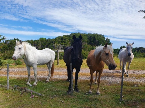 Hawley House image 20