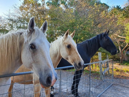 Hawley House image 23